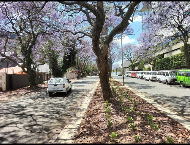 1,478M² VACANT LAND FOR SALE IN ROSEBANK